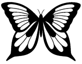 Disegno Farfalla pitturato su anto