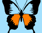 Disegno Farfalla con le ali nere pitturato su CAMI..LA