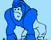Disegno Gorilla pitturato su francesco