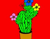 Disegno Fiori di cactus  pitturato su sara