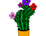 Disegno Fiori di cactus  pitturato su arianna