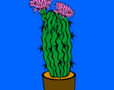 Disegno Cactus fioriti pitturato su elsa