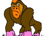 Disegno Gorilla pitturato su Davideb