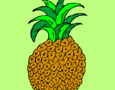 Disegno ananas  pitturato su shakira