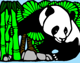 Disegno Orso panda con bambù  pitturato su gabriel