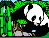 Disegno Orso panda con bambù  pitturato su francesca