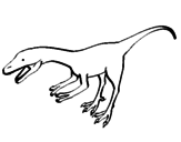 Disegno Velociraptor II pitturato su ettt