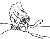 Disegno Tigre con affilati canini  pitturato su GODZILLA