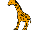 Disegno Giraffa  pitturato su m