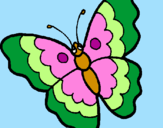 Disegno Farfalla  pitturato su killy