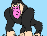 Disegno Gorilla pitturato su luca