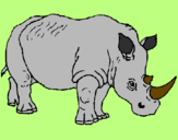 Disegno Rinoceronte  pitturato su LAMPO