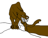Disegno Tigre con affilati canini  pitturato su francesca sanfi