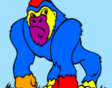 Disegno Gorilla pitturato su matte e filip