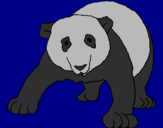 Disegno Orso panda  pitturato su nicole