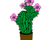 Disegno Fiori di cactus  pitturato su best