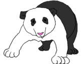 Disegno Orso panda  pitturato su sara sofia