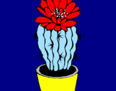 Disegno Cactus fiorito  pitturato su nonna