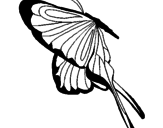 Disegno Farfalla con grandi ali pitturato su F