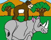 Disegno Rinoceronte e scimmietta  pitturato su simone