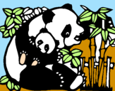 Disegno Mamma panda  pitturato su francesco