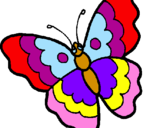 Disegno Farfalla  pitturato su farfalla