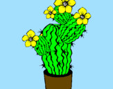 Disegno Fiori di cactus  pitturato su sara per mamma