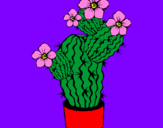 Disegno Fiori di cactus  pitturato su rene