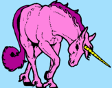 Disegno Unicorno brado  pitturato su Vitto 