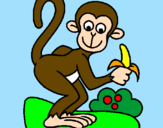 Disegno Scimmietta  pitturato su simone