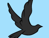 Disegno Colomba della pace in volo pitturato su rachele