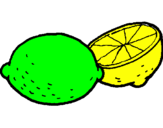 Disegno limone  pitturato su S..Sissy