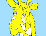 Disegno Muso di giraffa pitturato su ALE