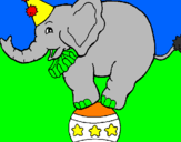 Disegno Elefante sulla palla  pitturato su luca