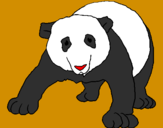 Disegno Orso panda  pitturato su alessia c