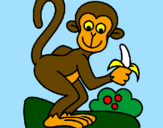 Disegno Scimmietta  pitturato su tas