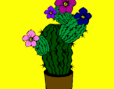 Disegno Fiori di cactus  pitturato su frency
