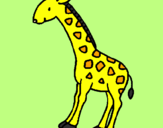 Disegno Giraffa  pitturato su annapaola