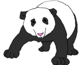 Disegno Orso panda  pitturato su mamy