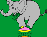 Disegno Elefante sulla palla  pitturato su stefano