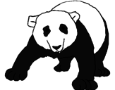 Disegno Orso panda  pitturato su xzccbh5