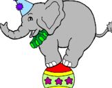 Disegno Elefante sulla palla  pitturato su gaia.b