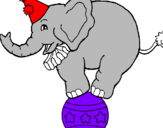 Disegno Elefante sulla palla  pitturato su aaaaaaaaaaaaaa