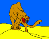 Disegno Tigre con affilati canini  pitturato su riccardo vitale