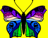 Disegno Farfalla pitturato su farfalla multicolor