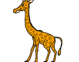Disegno Giraffa  pitturato su giraffa