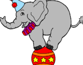 Disegno Elefante sulla palla  pitturato su chiara