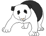 Disegno Orso panda  pitturato su yasmin  valenza