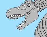 Disegno Scheletro di Tyrannosaurus rex pitturato su GIACOMO