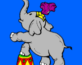 Disegno Elefante  pitturato su Carmine